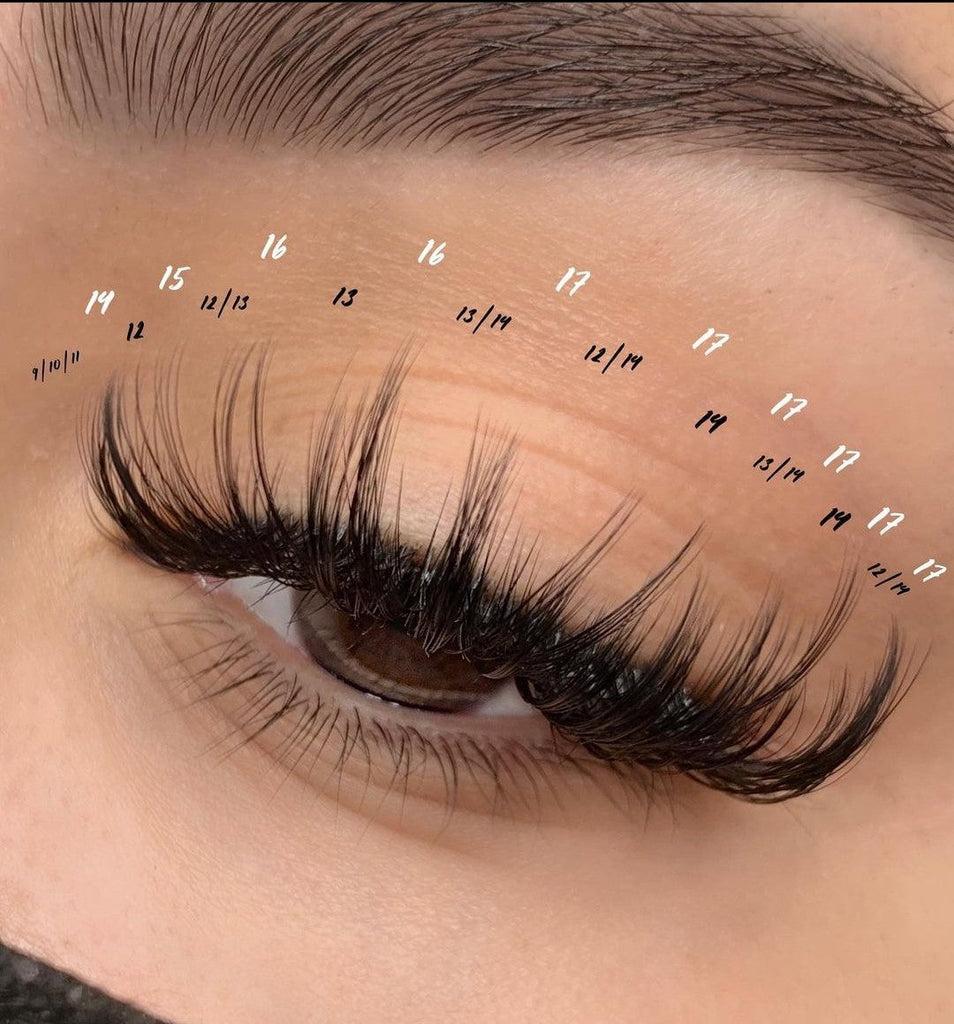 TRENKLER : Féline Couture 2D Silk Luxury Lashes - Féline Couture 